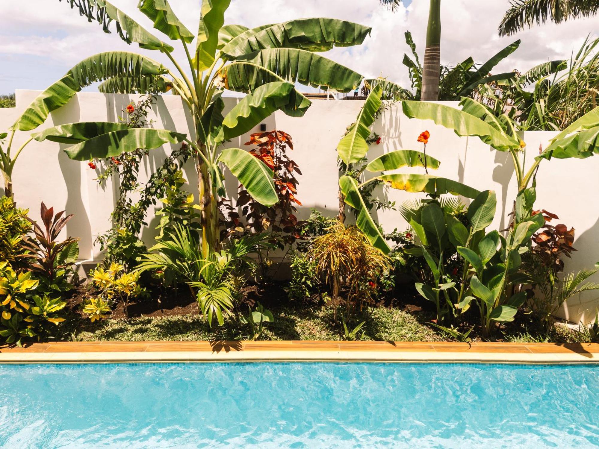 Shivo Paje Villas المظهر الخارجي الصورة